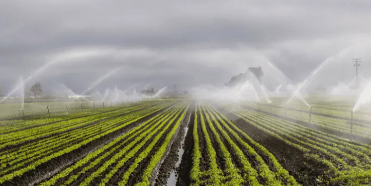 Agricultural Irrigation Solution — Electromagnetic Flowmeters