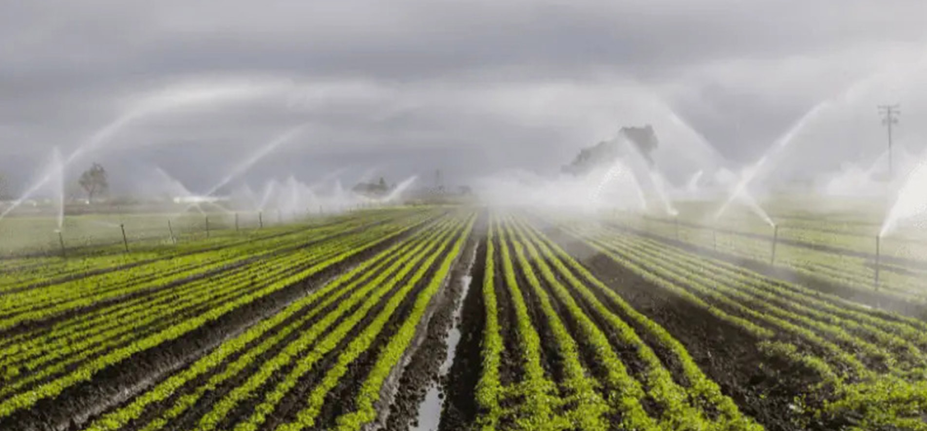 Agricultural Irrigation Solution — Electromagnetic Flowmeters