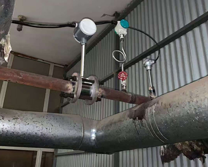 Remote Vortex Flowmeter